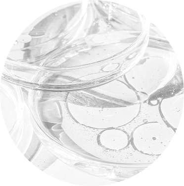 Clear plastic container with circular patterns on a white background